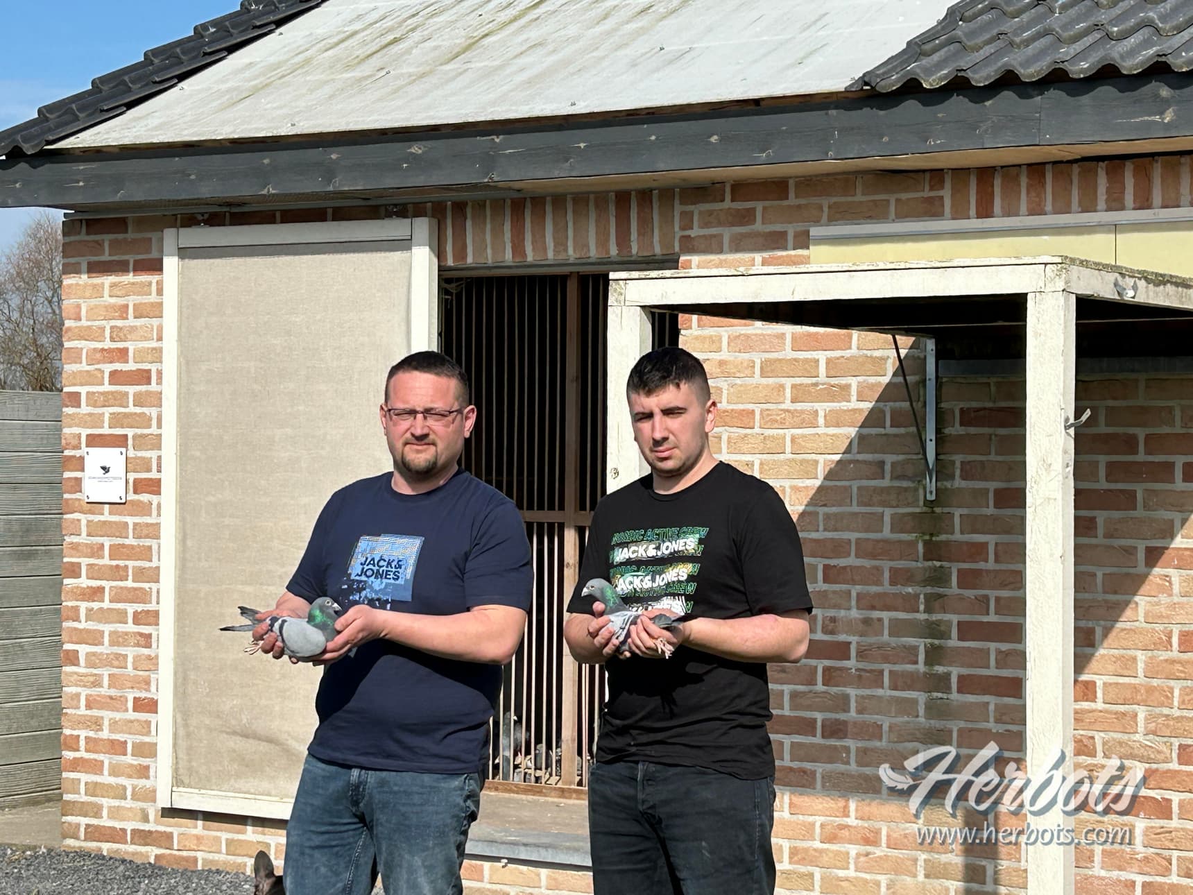 Pigeon Bids Saudoyez Kevin