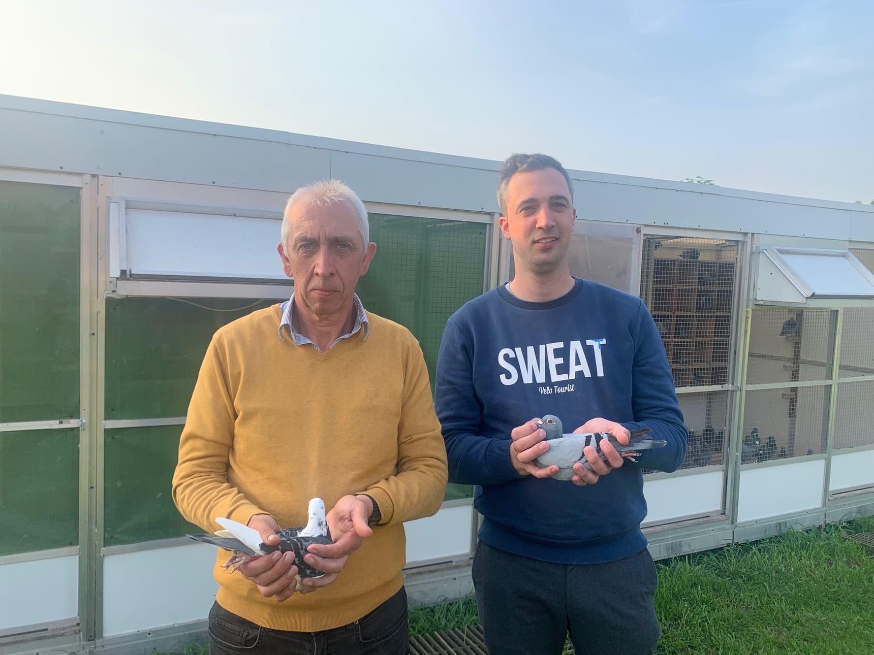 Pigeon Bids Bombeke Luc