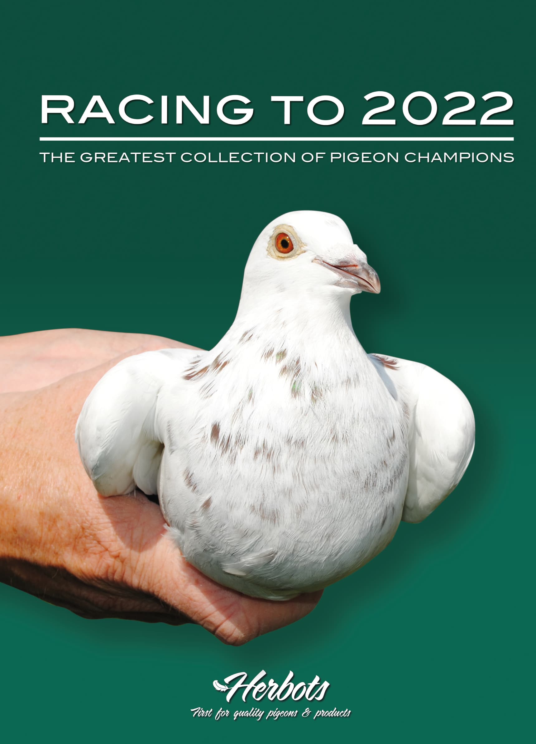 RACING TO 2022