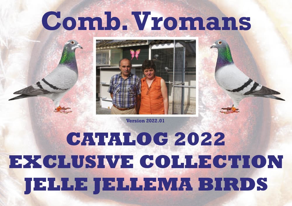 Comb. Vromans - Jelle Jellema birds 2022