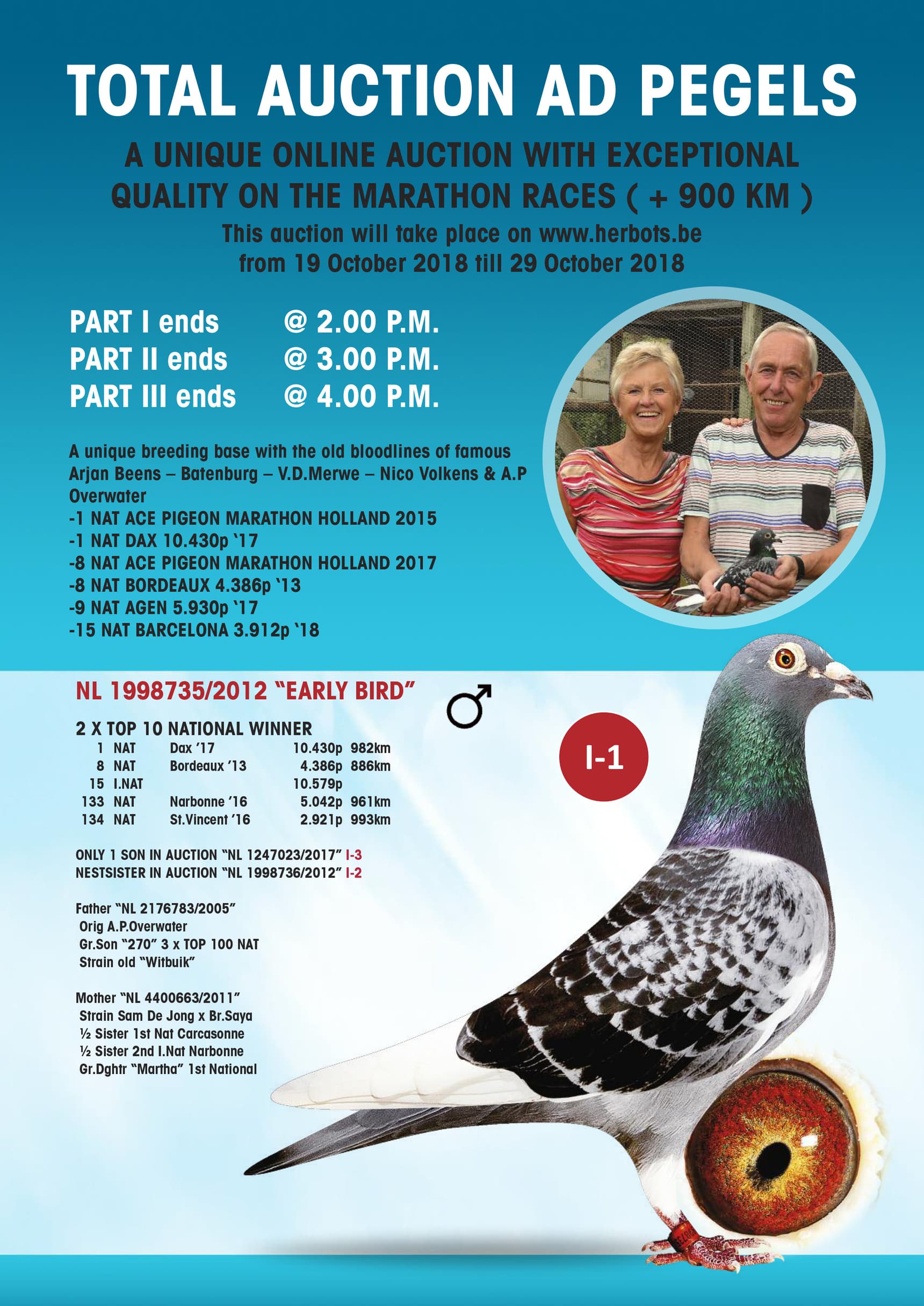 Pigeon Bids Pegels 2019