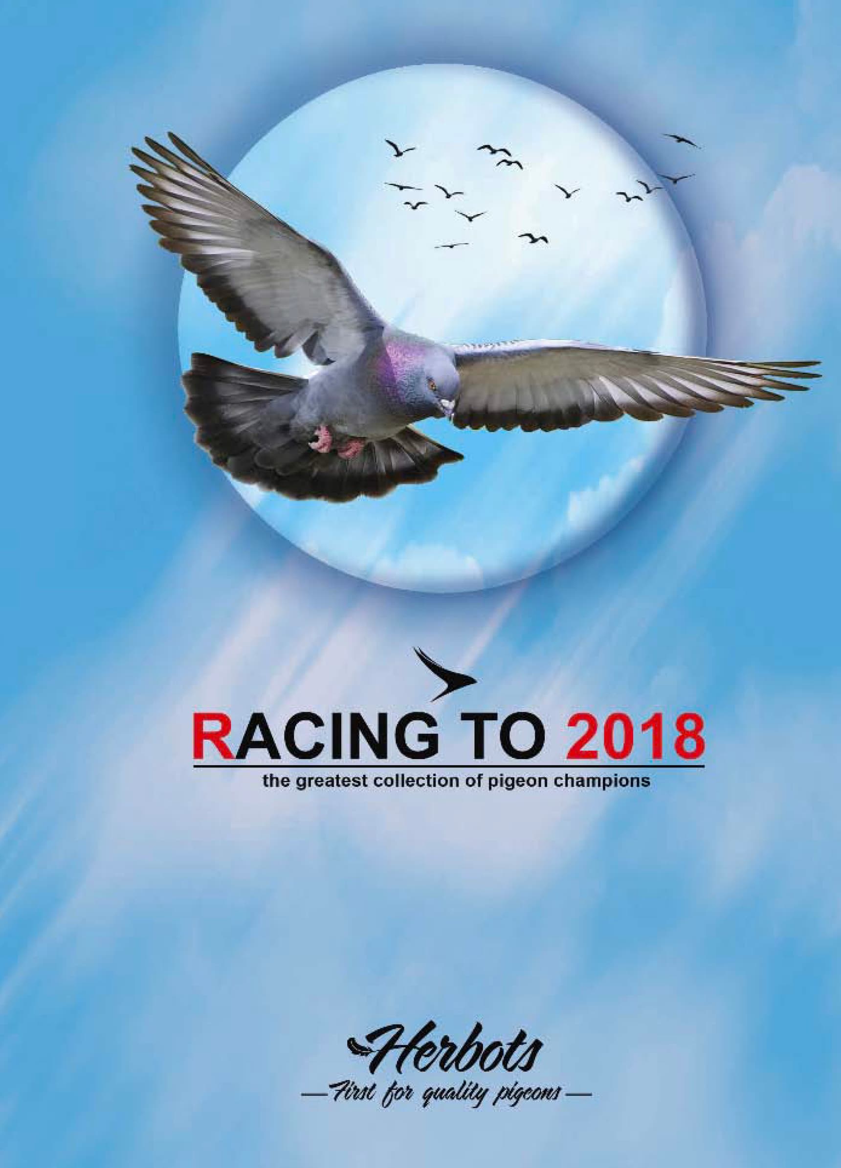 Racing to 2018