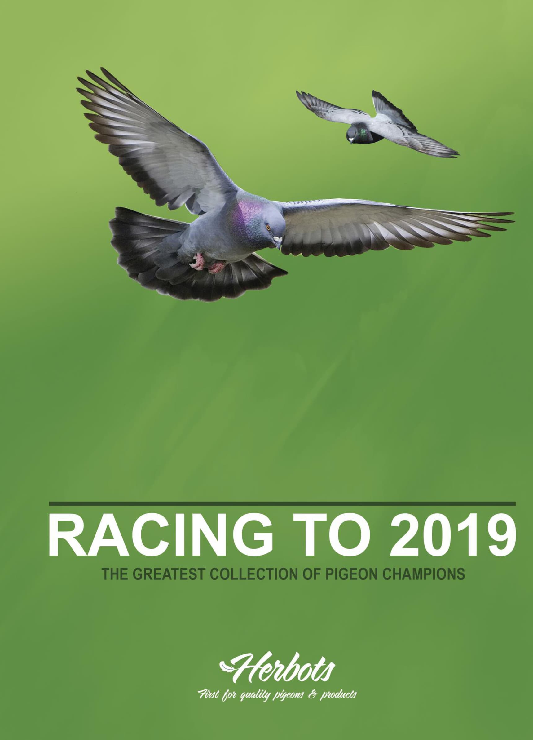 Racing to 2019