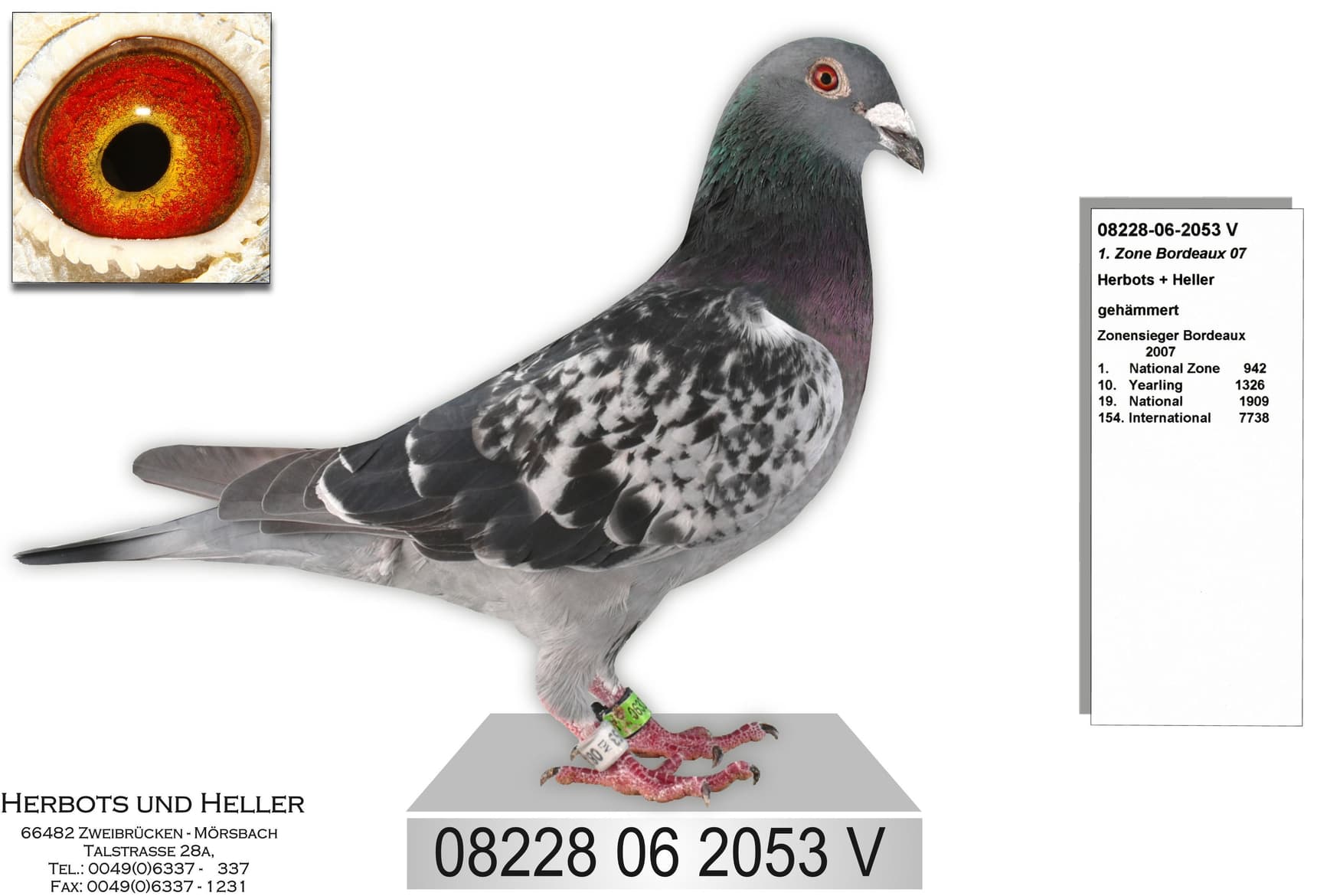 "1 zone Bordeaux 07"