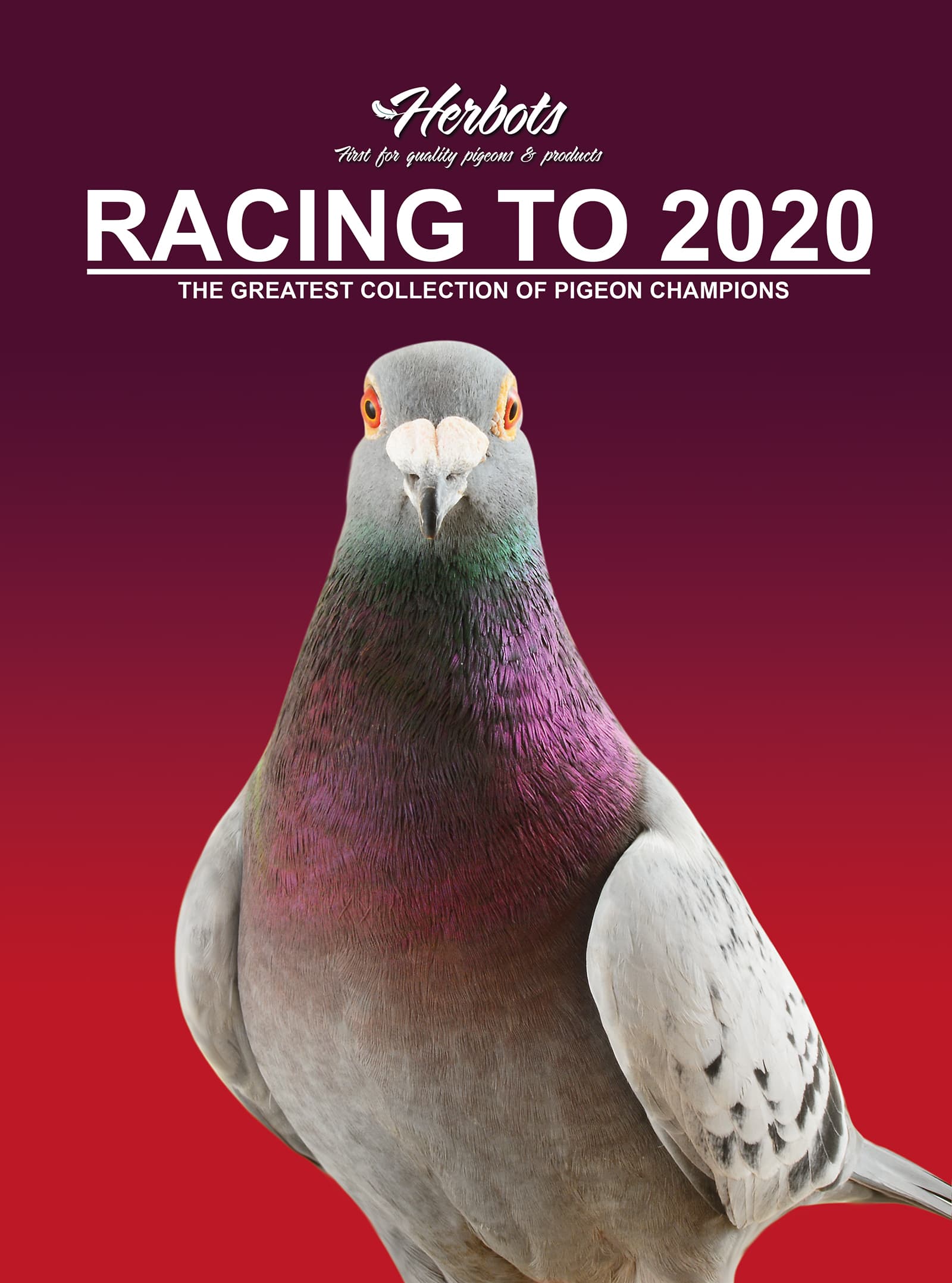 RACING TO 2020